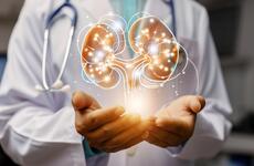 Developing New Models to Inform a Proposed Policy for Fair Kidney Transplant Allocation